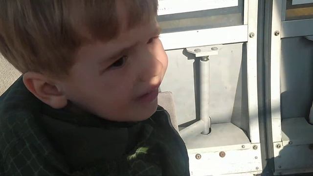 треш стрим ор смотреть онлайн