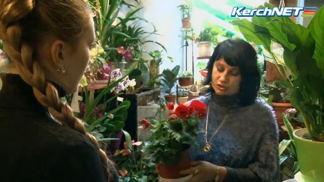 Комнатные_цветы_уход_видео смотреть онлайн