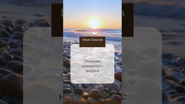 И.Павлов #shorts смотреть онлайн