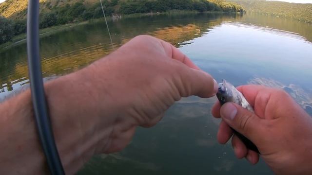 Річка СЕРЕТ. Рибалка На Касперівському Водосховищі. ФІДЕР чи ПРУЖИНКА смотреть онлайн