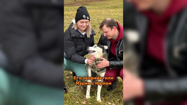 Хантер Из Приюта ДОМА || История Мальчика || Адаптация Дома || Приветики Из Дома смотреть онлайн