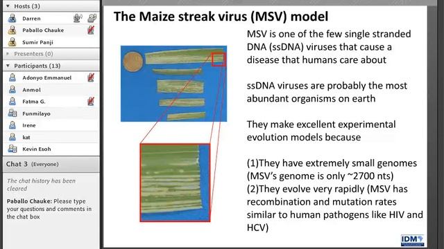 H3aBioNet webinars_Symptom evolution following the emergence of maize streak virus смотреть онлайн