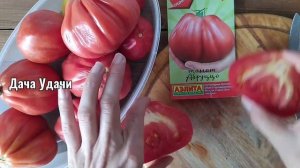 ТОМАТ АБРУЦЦО!!! Не все красивые и мясистые помидоры сладкие! Дача удачи