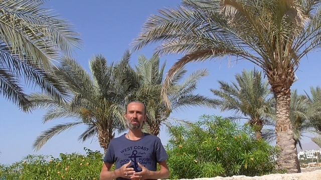 Поэзия Благодара Кирилюка "Пусть день наполнит тебя светом" смотреть онлайн