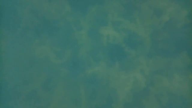 Стеклянный контейнер с крышкой, как инструмент для съёмок под водой смотреть онлайн