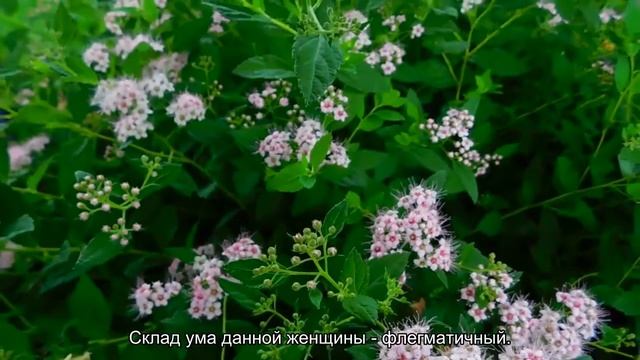 Значение имени Бенедикта. Толкование, судьба, характер смотреть онлайн