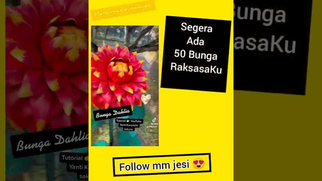 🇮🇩🌸🌿 Pesan Bunga Dahlia jumbo 🌿 смотреть онлайн