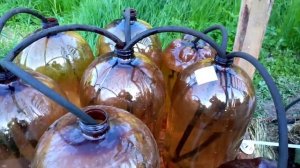 Капельный полив из пивных кег часть 2.