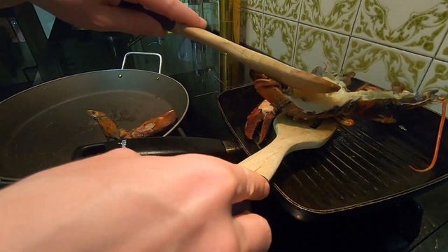 Зоологические Подсказки