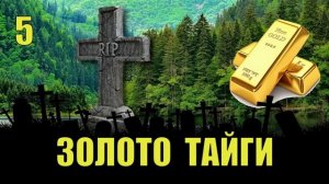 ЗОЛОТО ТАЙГИ ВСЕ СЕРИИ ТАЙГА ЛЕС ИСТОРИИ из ЖИЗНИ ОТНОШЕНИЯ РАЗВОД СЛУЧАЙ в ТАЙГЕ СУДЬБА СЕРИАЛ 1