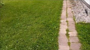 воздуходувка из триммера или homemade garden blower