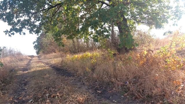 Приметы, которые нужно знать всем девушкам. смотреть онлайн