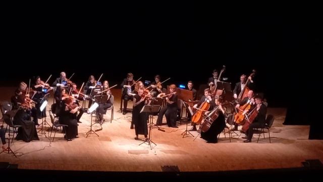 Филармонический камерный оркестр Новосибирска. "Восемь времен года". смотреть онлайн