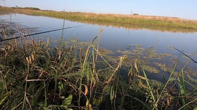 Рыбалка на родине. Краснопёрка, лещ, плотва. Отдых. смотреть онлайн