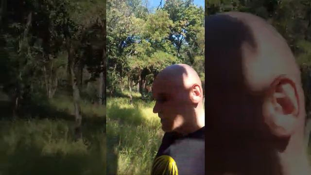 Кто хорошо отдыхает, тот хорошо работает )) смотреть онлайн