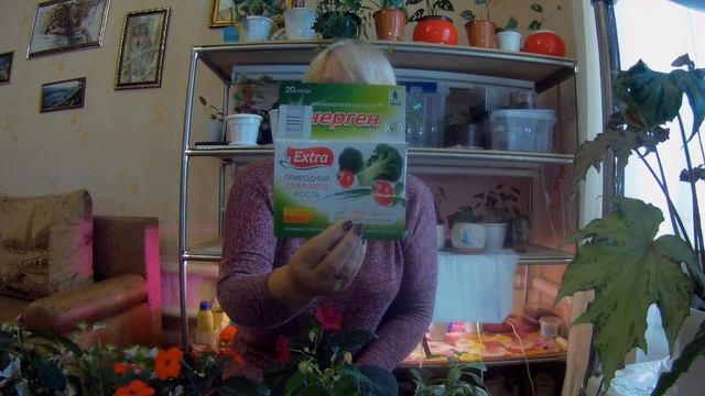 Масай как средство против вредителей?сохраняю черенки?? смотреть онлайн