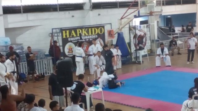 HAPKIDO - Campeonato смотреть онлайн