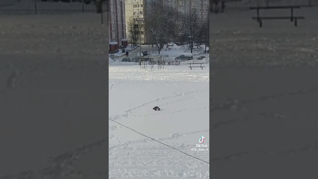 убили негра смотреть онлайн