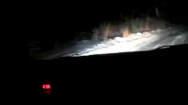 Охота на козла с фарой смотреть онлайн