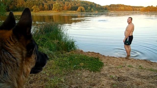 Наш Дазор сабака переживака смотреть онлайн