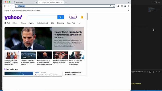Puppeteer Tutorial #4 | Launch Browser with Options смотреть онлайн