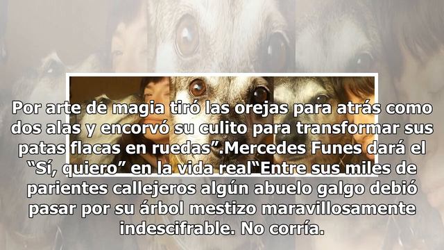 El dolor de Mercedes Funes tras el fallecimiento de su perrita: “Mi nena sonreía y con ella sonre.. смотреть онлайн