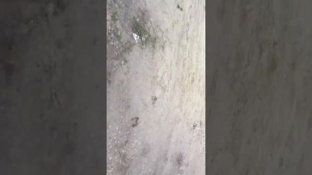 Я один гуляю смотреть онлайн
