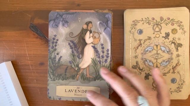 The Herbal Astrology Oracle | Full Flip Through смотреть онлайн