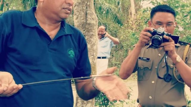 लाल चंदन की खेती हर कोई क्यों नहीं कर पाता ? 10 लाख रुपए का पड़ता है 1 पेड़ | Red Sandalwood смотреть онлайн