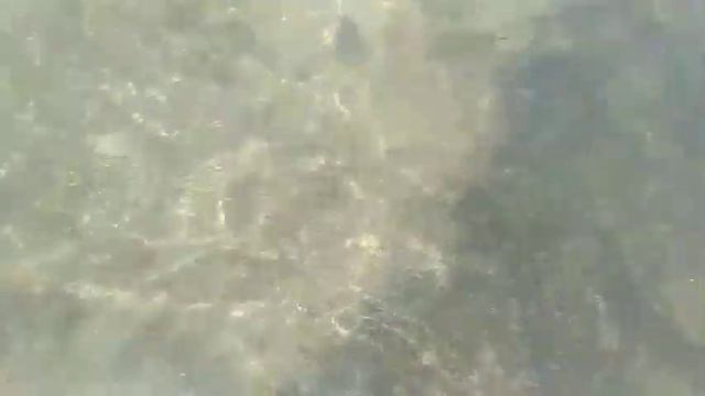 Удивительно чистая вода в серебряном озере смотреть онлайн