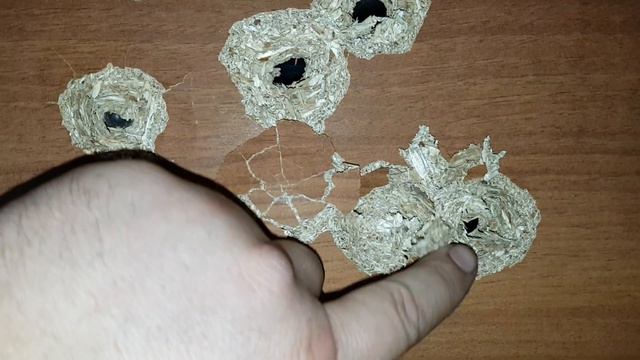 ТТК - ДФ - 2020 - Стреляю темпом, Самый мощный травмат