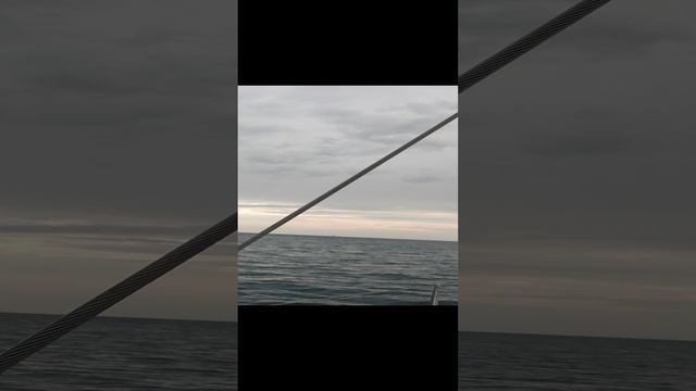 1000119409.mp4 смотреть онлайн