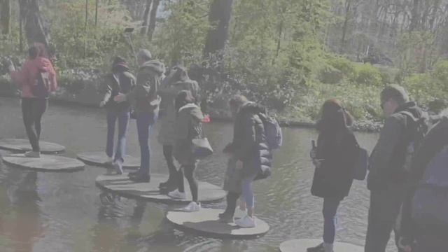 Когда мечта сбылась:ТЮЛЬПАНЫ и НАРЦИССЫ: Знаменитый парк  КЁКЕНХОФ, Голландия Keukenhof