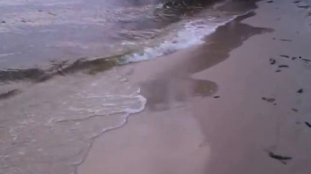 Киевское море / Kiev Sea. смотреть онлайн