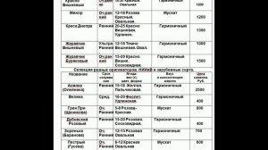 Каталог на годовалые саженцы виноград 2024.