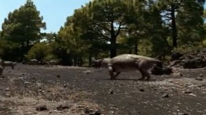 Листрозавр ( Прогулки с монстрами: жизнь до динозавров )