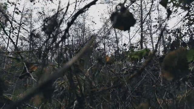 VID 20221016 131344 Она покоится (К. Бальмонт)...Павел Васильев Лахтинский смотреть онлайн