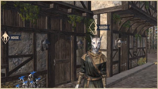 TES Blades Main Story & Lore - The Elder Scrolls Lore смотреть онлайн