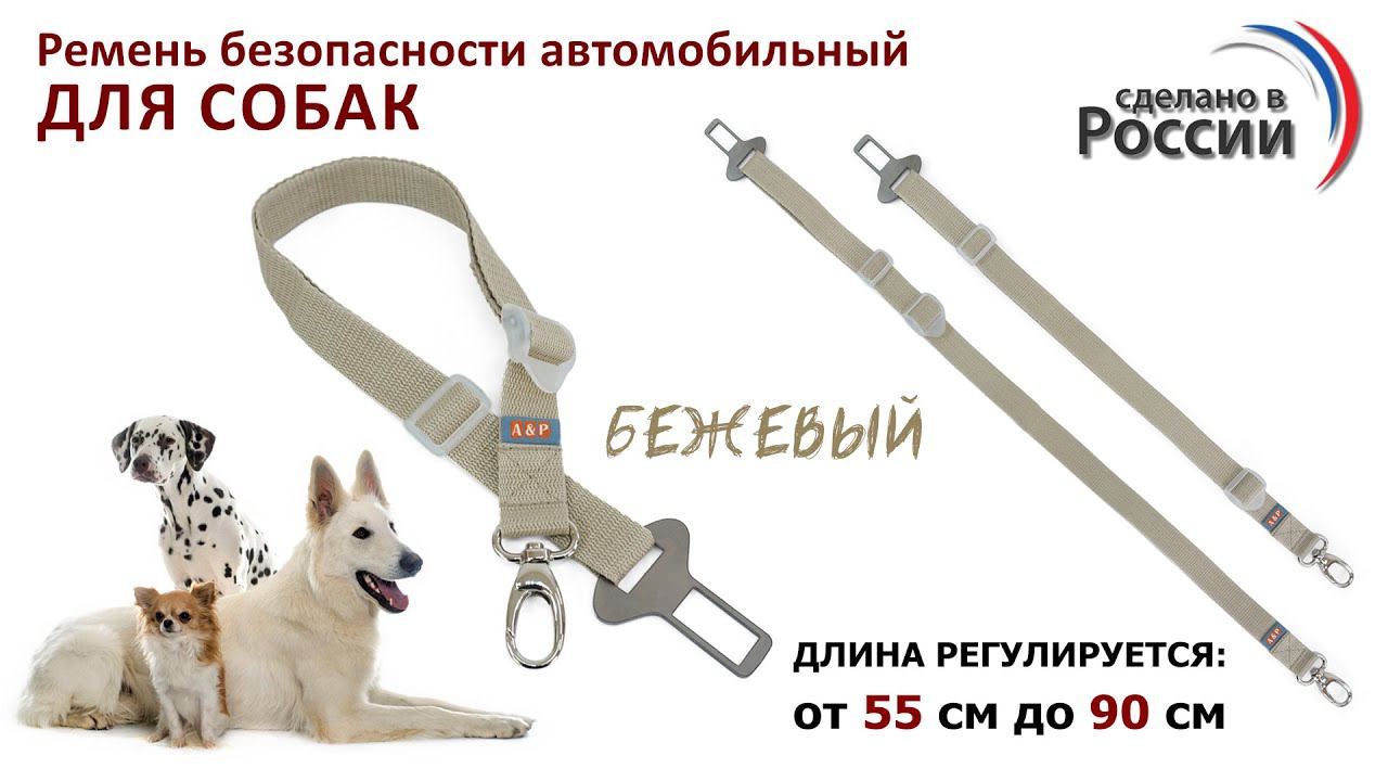 Ремень безопасности для собак в автомобиль, цвет бежевый. Промо-ролик.