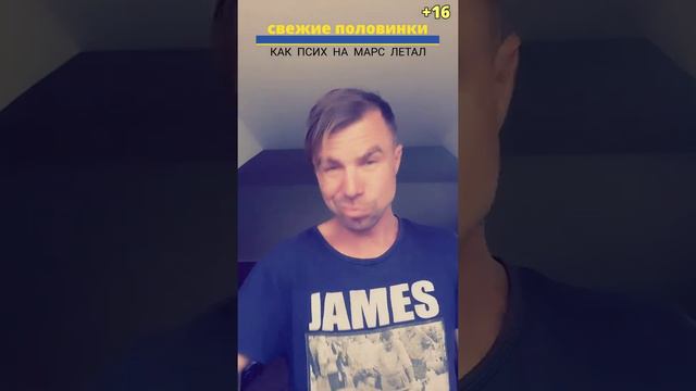 КАК ПСИХ НА МАРС ЛЕТАЛ смотреть онлайн