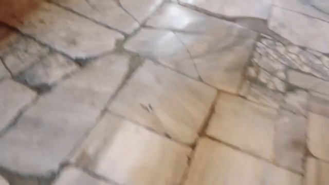 İSTANBUL’da AYASOFYA CAMİSİNİ GEZDİK vlog #belgesel смотреть онлайн