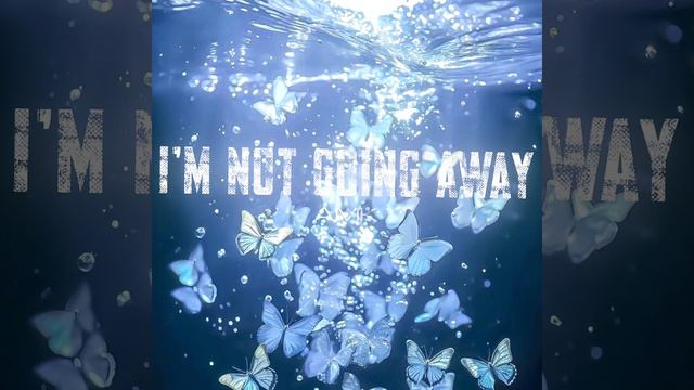 AMK - I’m Not Going Away