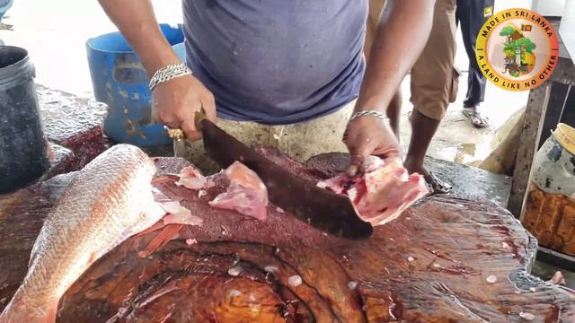 Huge Red Snapper Fish Cutting | Made In Sri Lanka Fish Cutting Skills смотреть онлайн