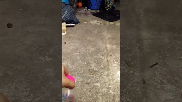 Reto de la botella смотреть онлайн