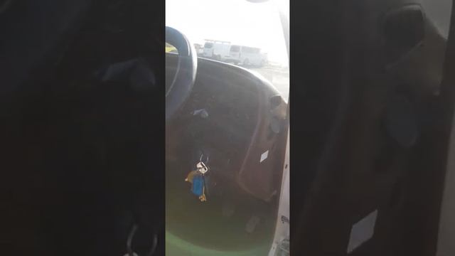 1991 Hiace Campervan