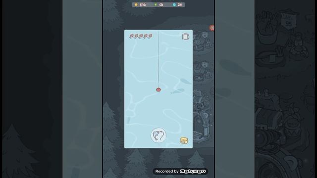 игра коты  и суп