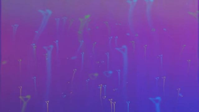 Песнь 6 Предписанные обязанности человечества 2 17 Мать Парвати проклинает Читракету смотреть онлайн