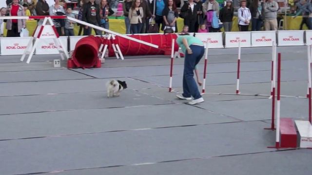 Квалификационные соревнования, СКК, 01.06.14г. v18 смотреть онлайн