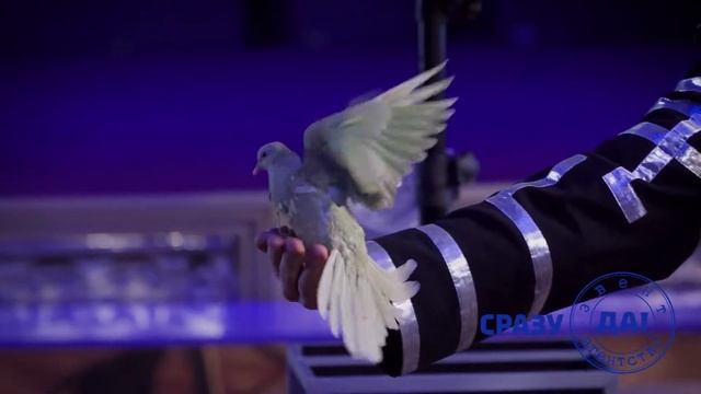 ШОУ ТРАНСФОРМАЦИЯ КОСТЮМОВ С ГОЛУБЯМИ смотреть онлайн