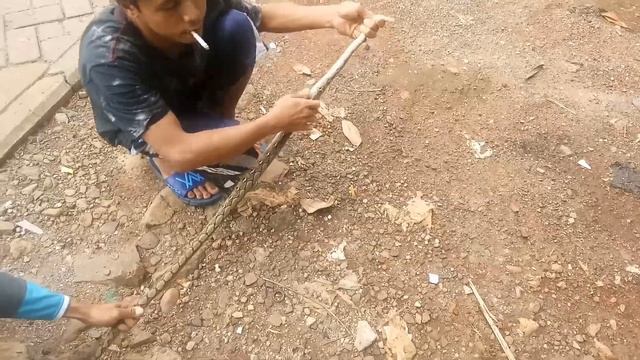 ULAR PYTHON, HASIL TANGKAPAN DI RAWA DEKAT RUMAH смотреть онлайн